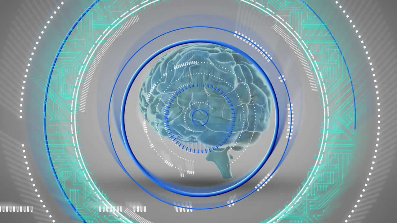 디지털 인터페이스를 통해 원형 데이터 처리 애니메이션으로 뇌 일러스트레이션