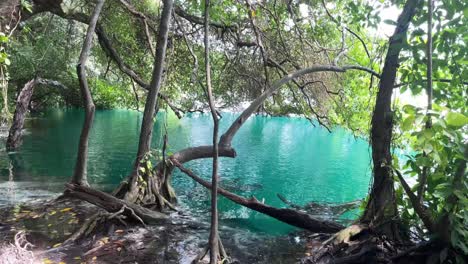 bacalar mexico ciudad turística de playa con lago laguna de 7 colores destino de vacaciones de viaje