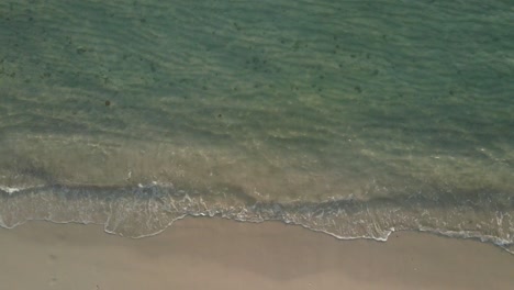 Luftaufnahme-Von-Oben,-Mittellangsam-Aufsteigender-Schuss-Des-Ozeans,-Kleine-Tropische-Welle,-Die-An-Einem-Strand-Bricht