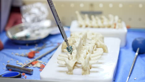 metal tool screws the medical bolt into a spine model. male hands extract the instrument with effort. close up.