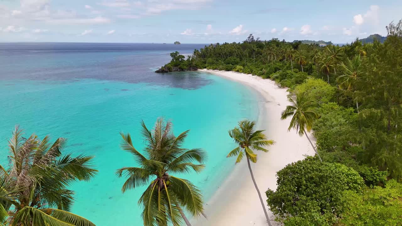 Video drone 4K della spiaggia di Oyama, una spiaggia tropicale di sabbia bianca nelle Isole Banggai a Sulawesi, Indonesia. Le palme ondeggiano al vento e le onde blu dell'oceano si infrangono sulla riva.
