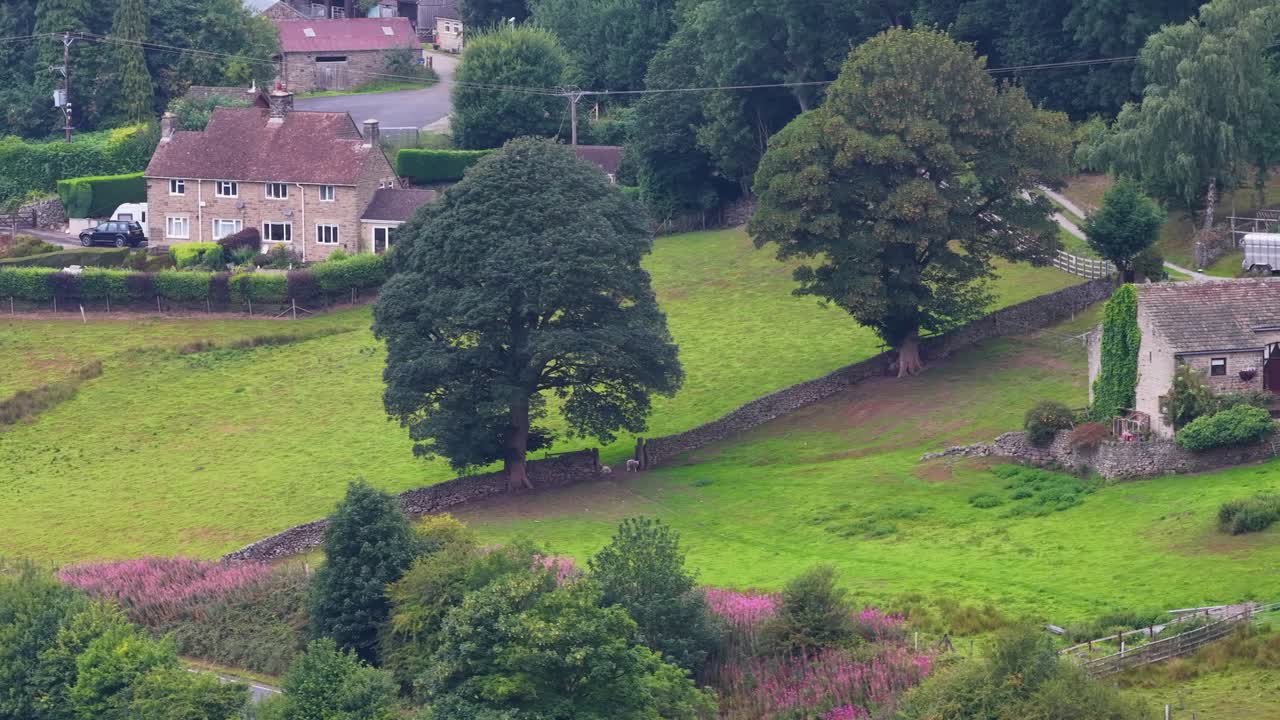 Aerial camera smoothly pans across a lush, green hillside with a traditional stone cottage, large trees, and distant village houses under soft daylight
