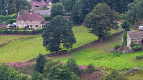 aerial camera smoothly pans across a lush, green hillside with a traditional stone cottage, large trees, and distant village houses under soft daylight