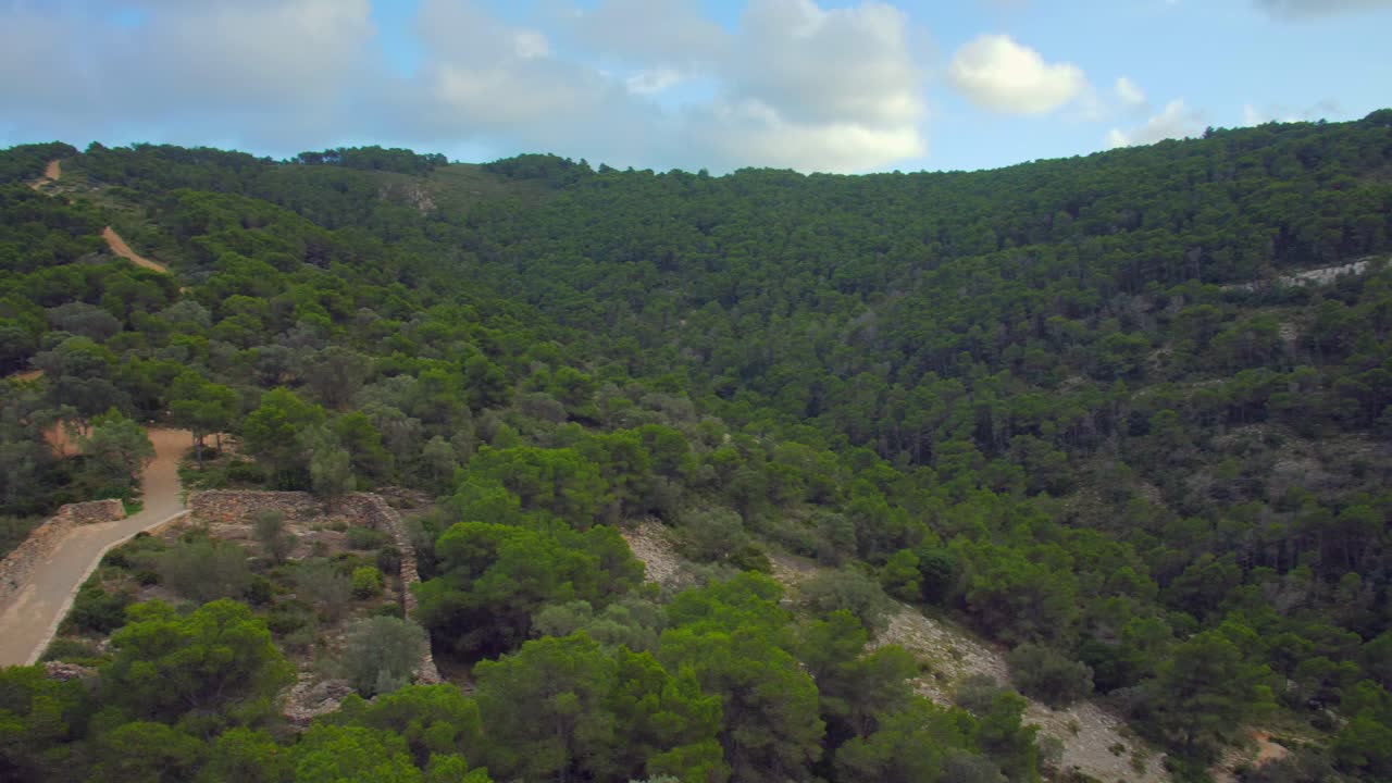 Panoramica pittoresca di un sentiero escursionistico nella pineta su terreno collinare in una giornata nuvolosa
