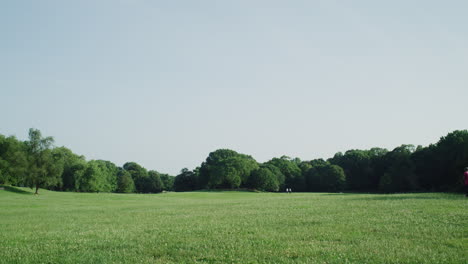 人們在夏天的一個日子穿過 prospect park