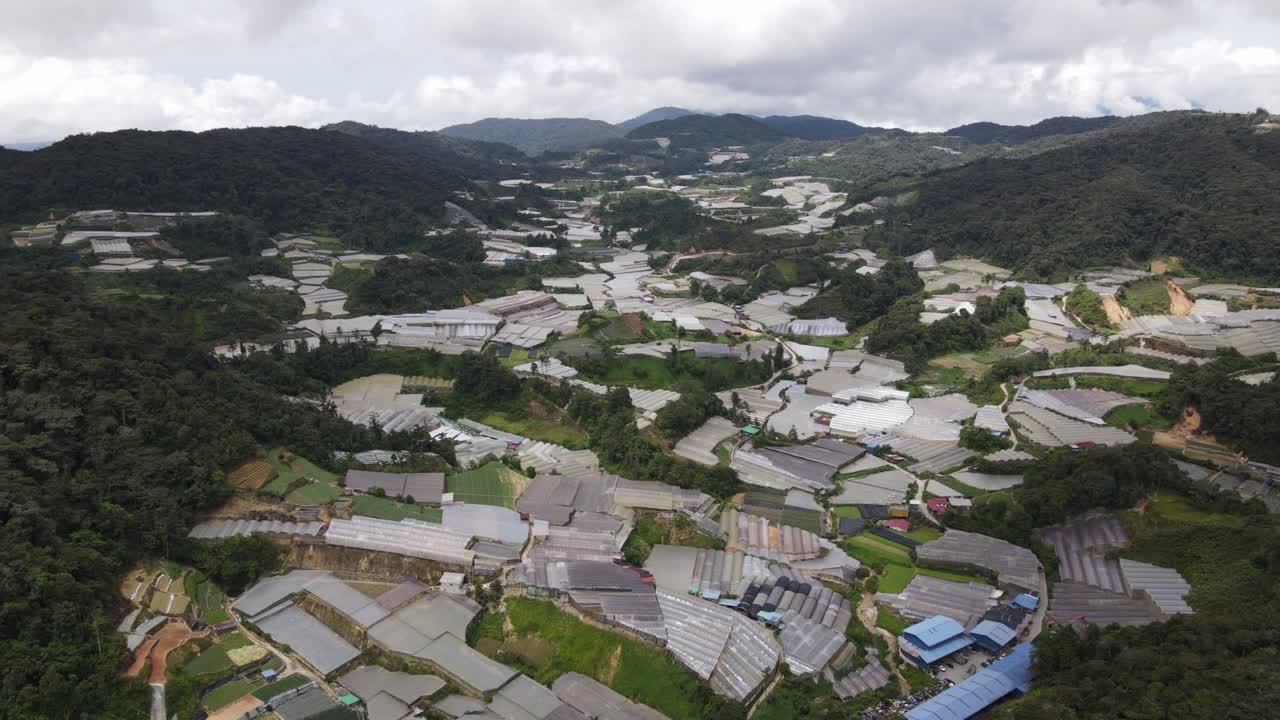 말레이시아의 카메론 하이랜드 지역 내의 브린창 지역의 일반 풍경