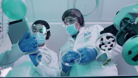 investigadores de las ciencias de la vida experimentando