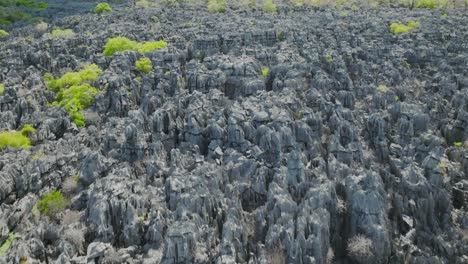 tsingy rocks in madagascar - aerial shot