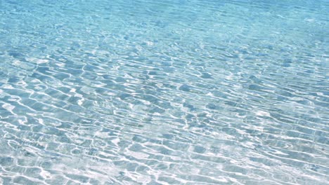 looking through crystal clear water at lake mckenzie