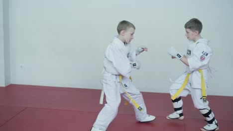 young martial artists in white gi and yellow belts practicing kudo techniques with focus and determination