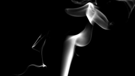 tobacco black and white smoke