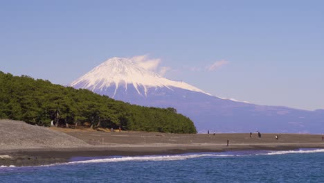 松树林和山峰的象征性景色