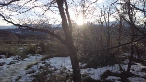 LKW-Verließ-Sonnenstrahlen,-Die-Auf-Winterbäume-Im-Nationalpark-Feuerland-Trafen