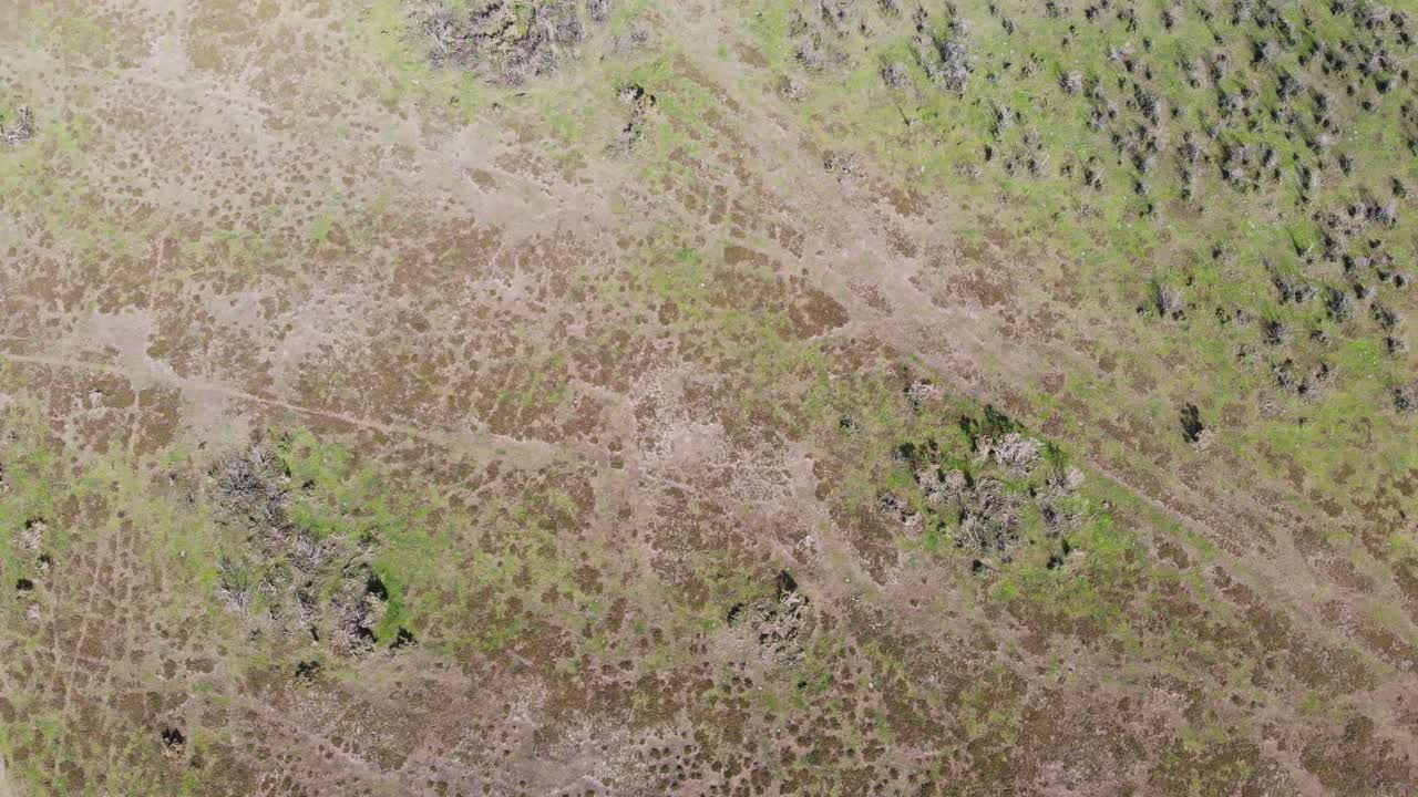 Aerial Birds eye view showcasing the diverse textures and colors of the landscape, creating a visually captivating abstract composition