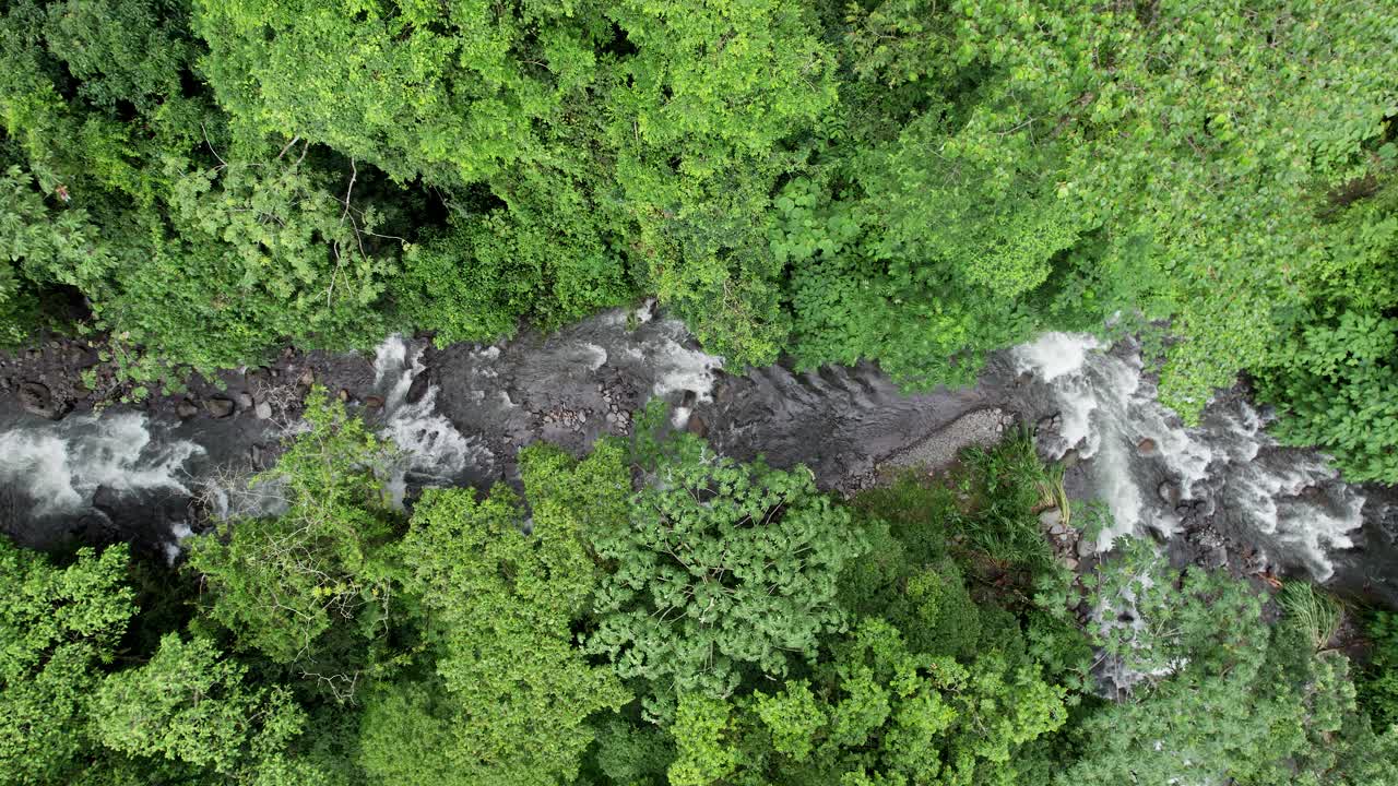 rápidos de río de agua blanca que fluyen en la exuberante selva tropical, costa rica