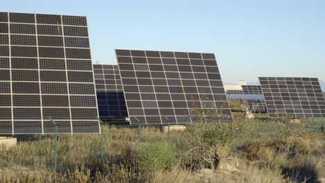 vista lateral de un parque de grandes paneles solares cuadrados que reciben el sol de la mañana para generar energía renovable verde sin contaminación