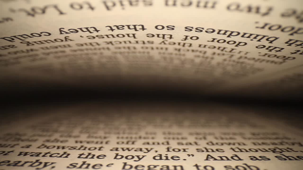 책을 가로질러 왼쪽에서 오른쪽으로, 페이지가 프레임의 상단에서 하단으로 이동하면서 끝까지 내려갑니다.