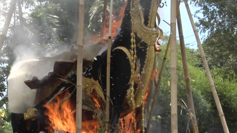 un toro brahma se quema durante una ceremonia de cremación balinesa 1