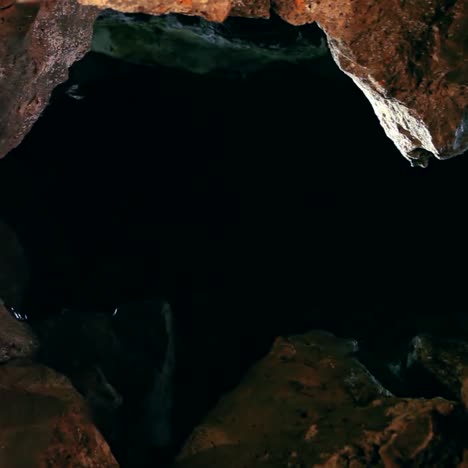 bats fly in around a cave with a pool at night