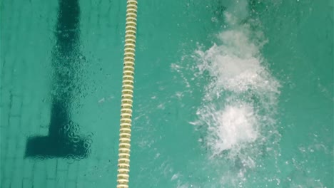 fit man diving in the pool