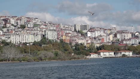 istanbul cityscape with gulls