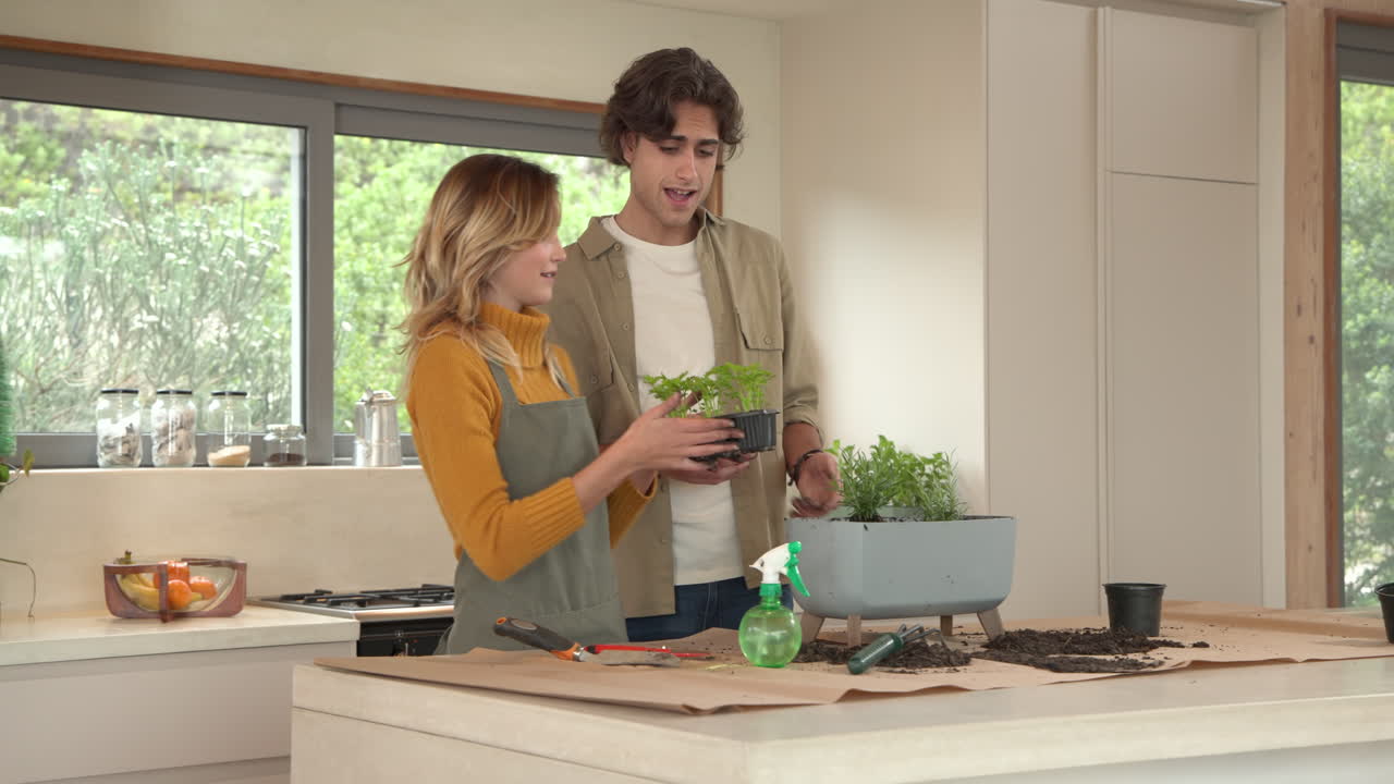 Couple gardening together in kitchen, enjoying planting herbs at home