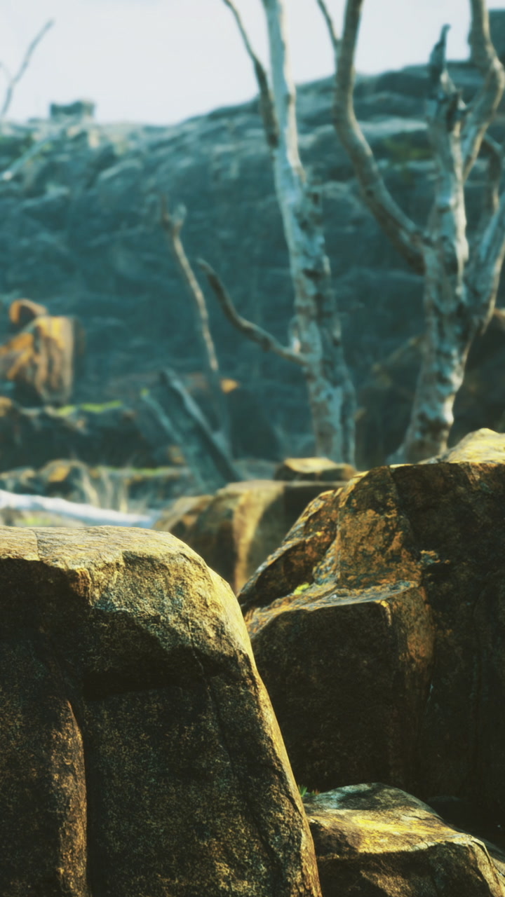 Rock formations in a natural landscape during daylight hours