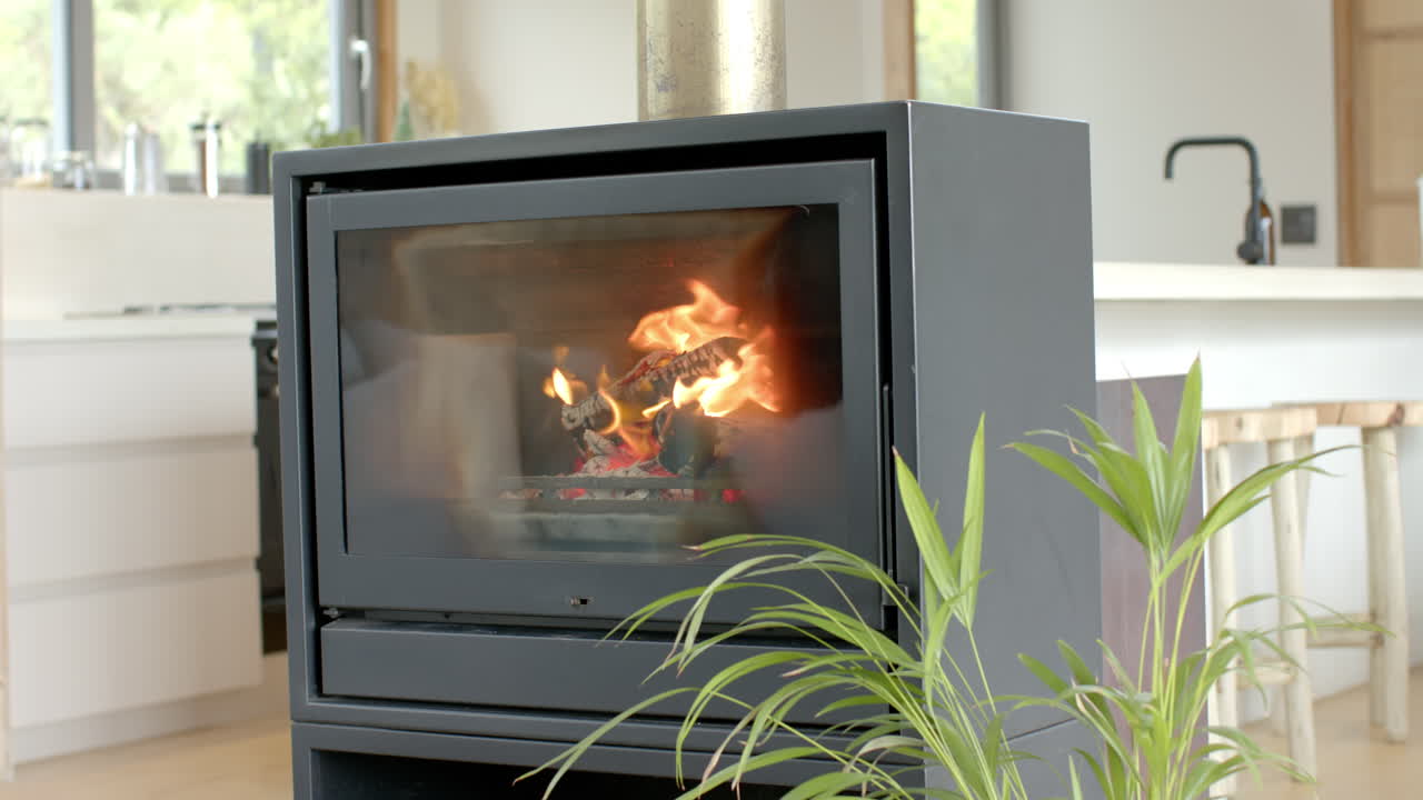 Cozy fireplace burning warmly in modern living room with green plant, copy space