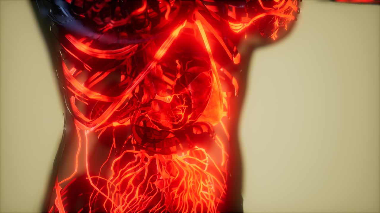 inspección de la sangre en los vasos sanguíneos del sistema circulatorio