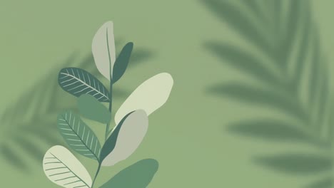 animación del patrón de hoja con espacio de copia en fondo verde