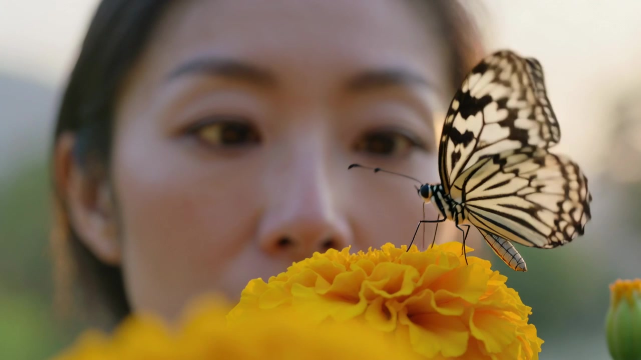 Donna che si china ad annusare una calendula gialla in giardino, una farfalla arriva da destra e atterra.