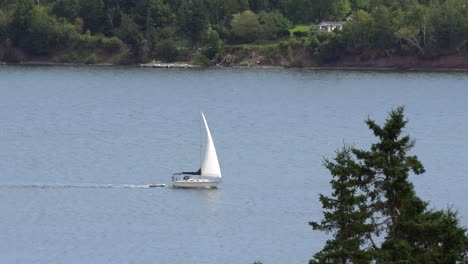 a white sailing ship is moving quietly on a river on a picturesque lake