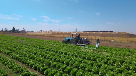 tir d'inclinaison du tracteur au champ de choux à sdot negev israël