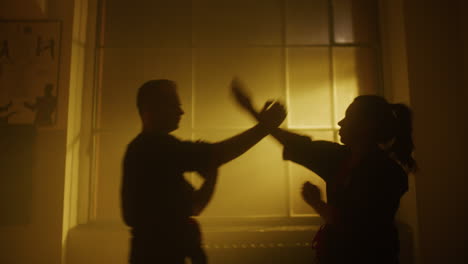 martial arts training session