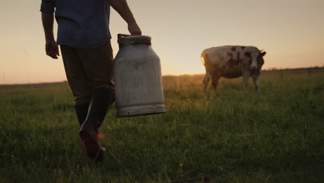 a farmer with a can in his hand walks through a pasture towards a cow