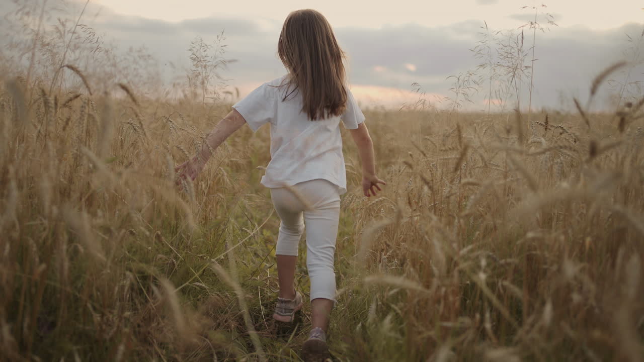 en cámara lenta la cámara sigue a una niña de 4-5 años corriendo en un campo de grano espikelets dorados al atardecer feliz y libre. infancia feliz. el cabello se desarrolla en la luz del sol