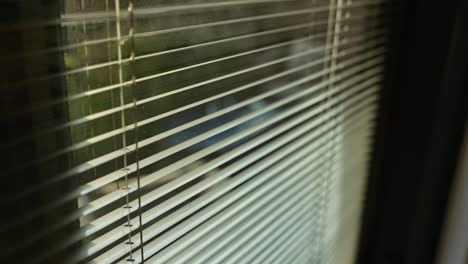 morning sunlight shining indoor inside apartment from window with venetian blinds. hiding inside home. daylight showing between cracks of half closed blinds or drapes. close up shot