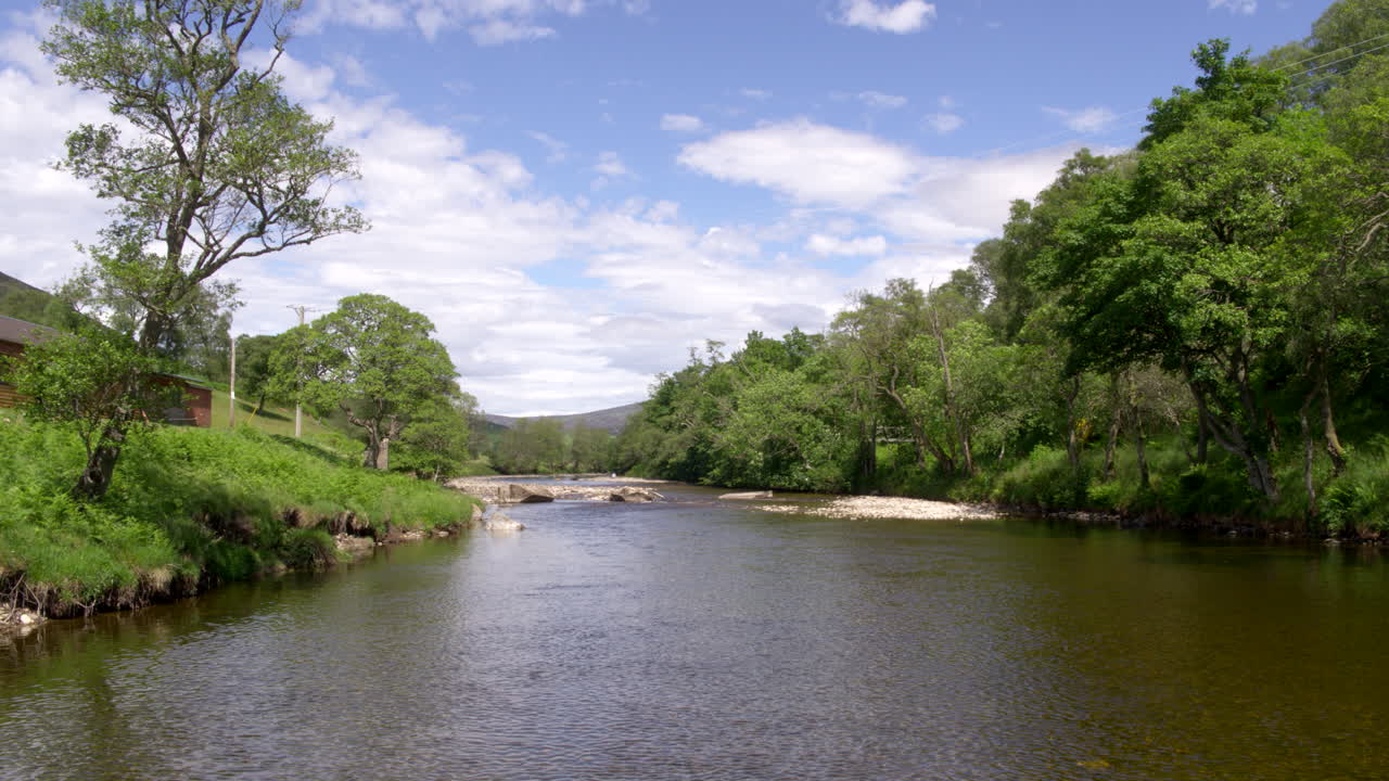 UK Scotland Heatwave river drone shot with dogs play in water