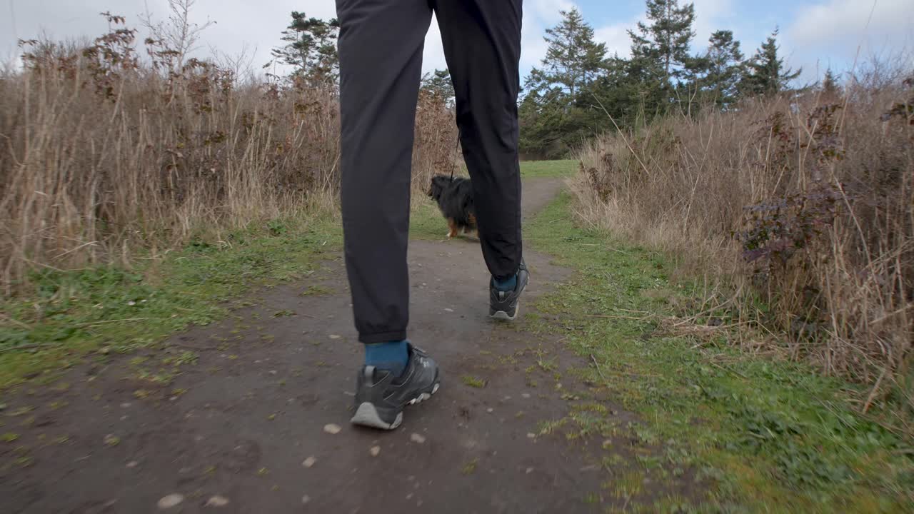 Adventurer and dog walking on hiking trail.