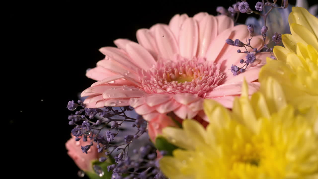 Acqua che gocciola su fiori freschi