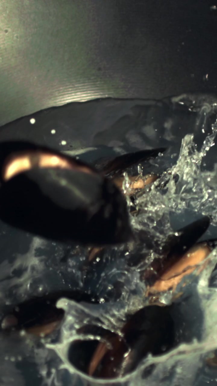 Slow Motion of Fresh Mussels Splashing into Boiling Water