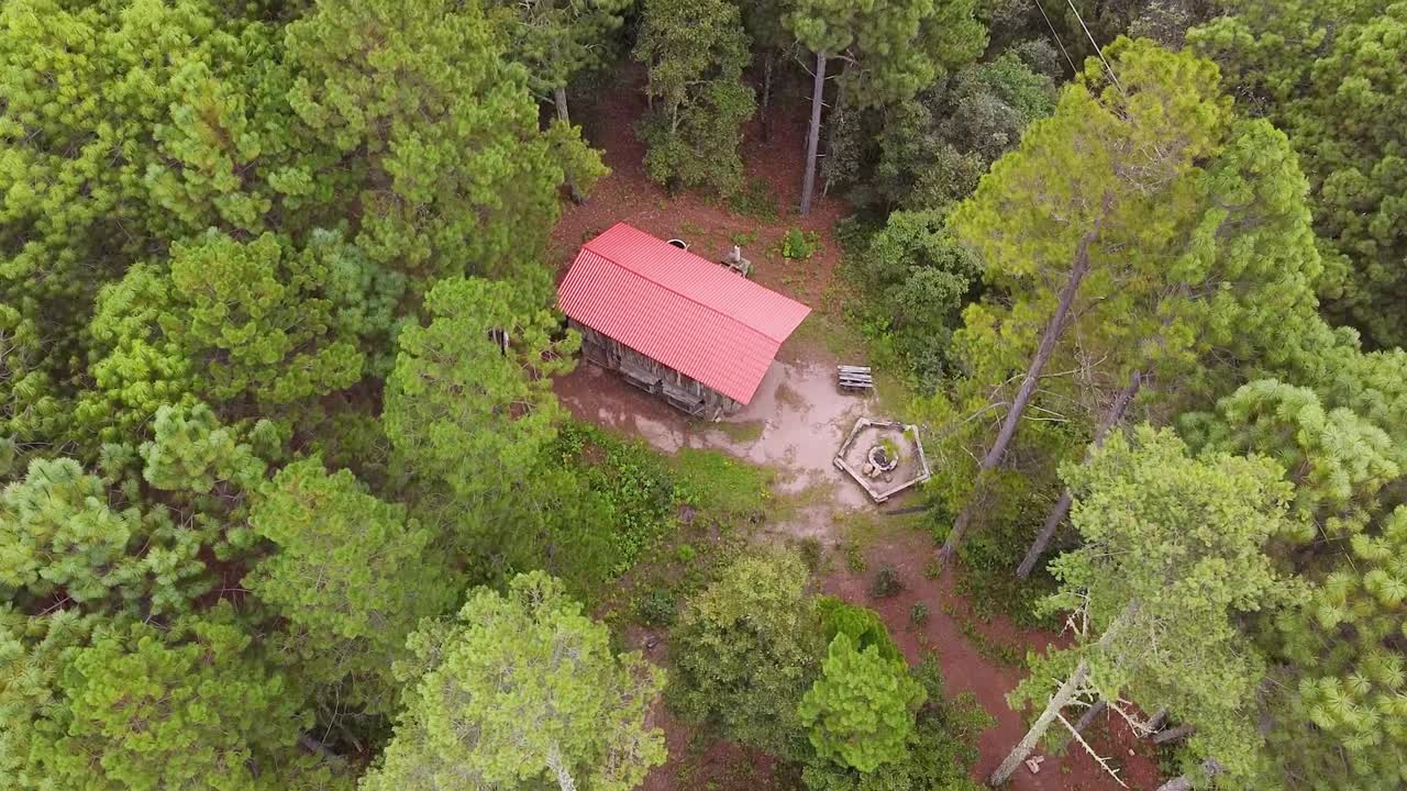retiro pacífico en el bosque: vista aérea de cabañas y caminos en méxico