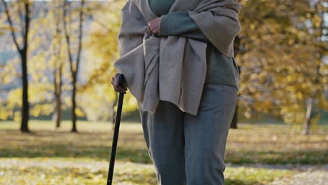 low section of senior woman with walking stick at the park