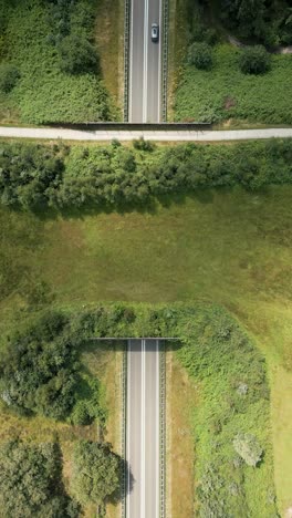 vista aérea de un paso elevado en un paisaje verde