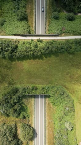 aerial view of road overpass in green landscape