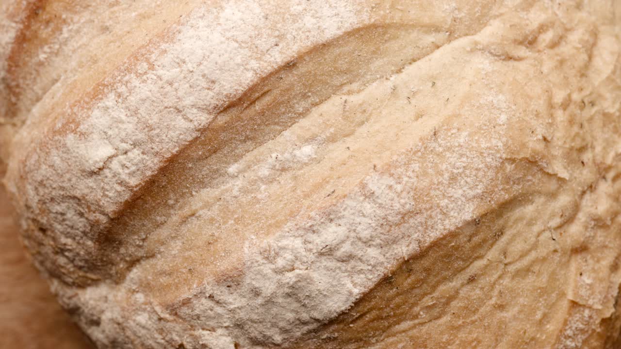 한 어리가 원으로 회전합니다.