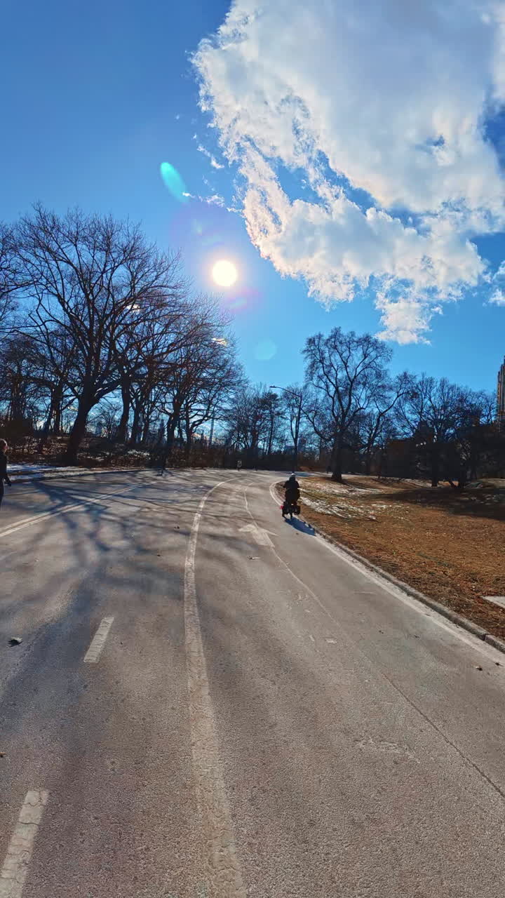 New York, USA, 28. december 2025: Krydsning af Central Park på en solrig vinterdag. Vejkryds med cykelmarkeringer under den klare sol i Central Park, Manhattan.