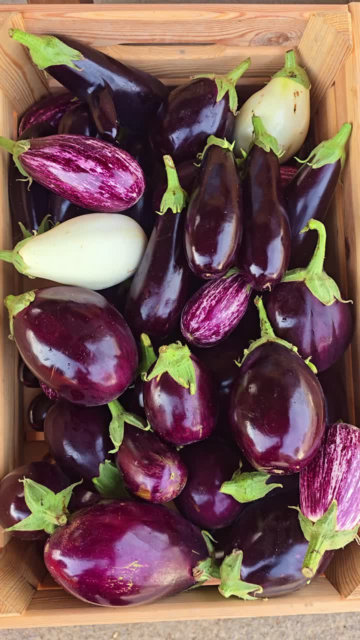 Static top-down shot of various eggplants stacked in a wooden crate, showing white, purple, and striped varieties in natural light
