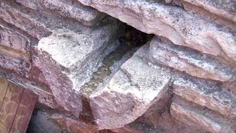 ancient stone wall with grapes and water drainage