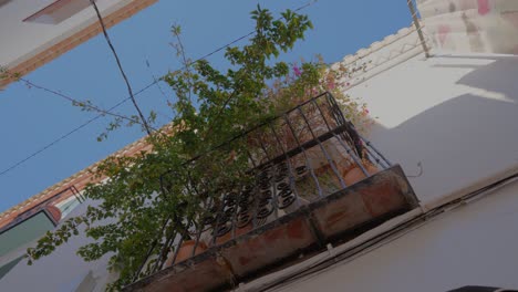 balcony-with-plants-in-villa-mediterranea